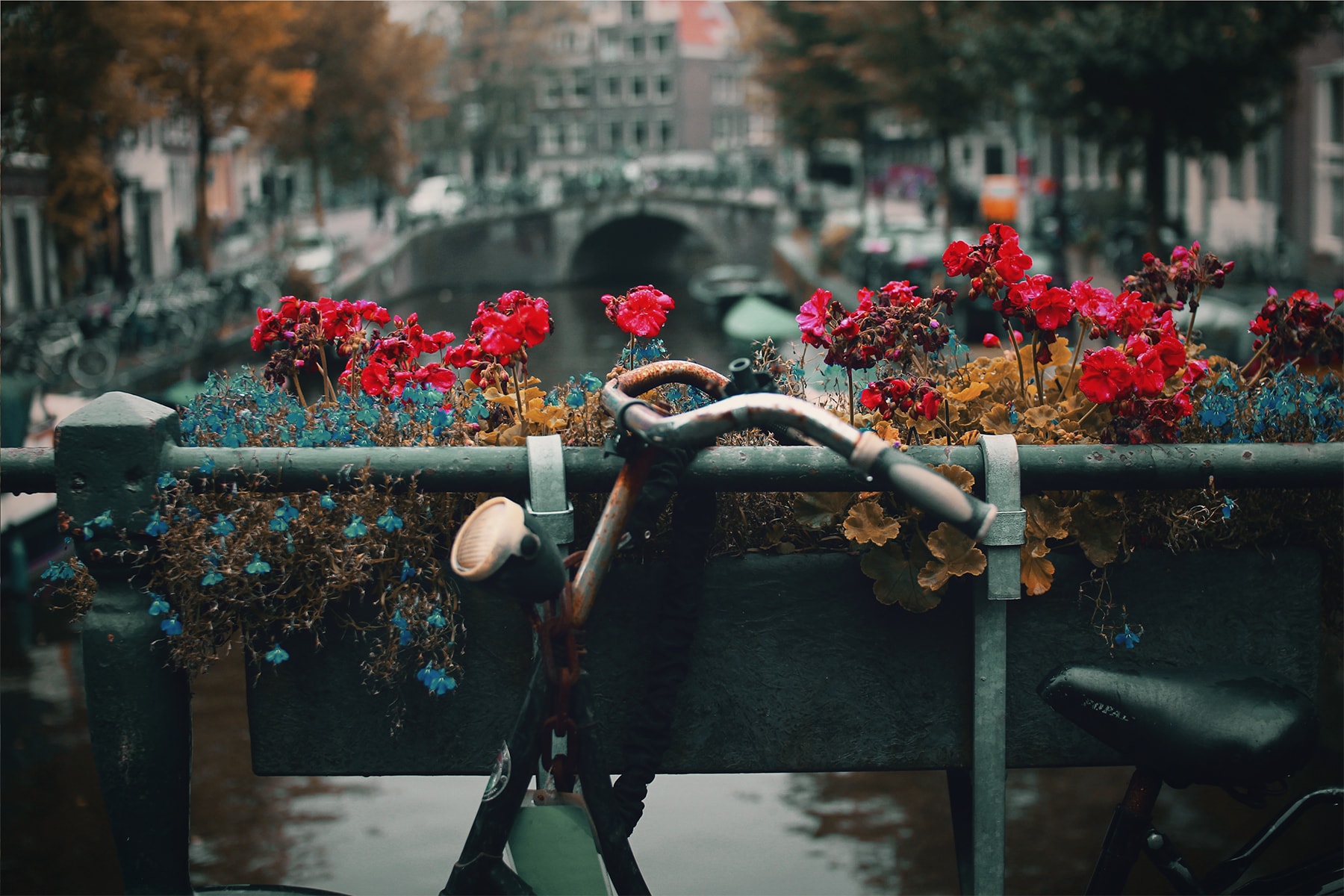 Weekendje weg: 10 Culinaire hotspots in Amsterdam
