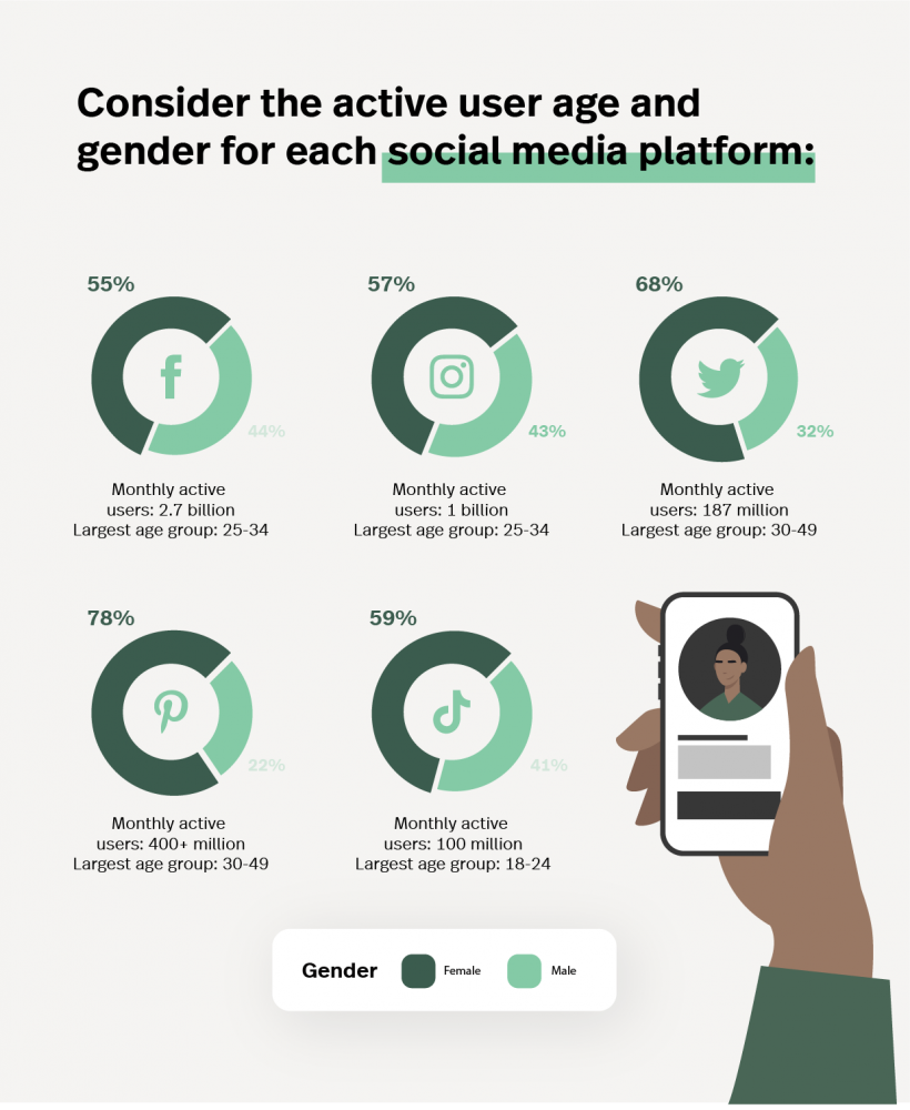 social media demographics