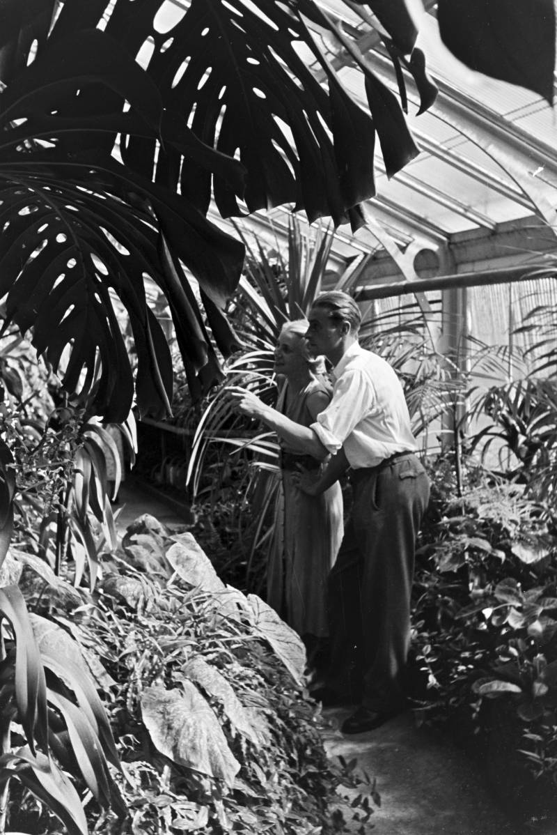 BTP pot plant heaven