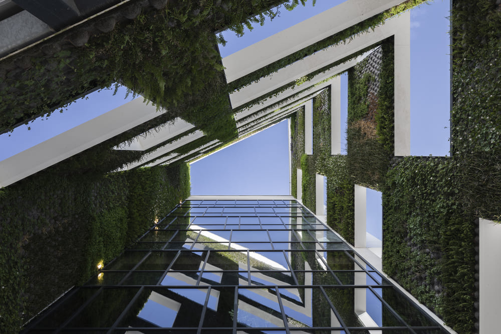 YUST Luik – Greenwall ©Tijs Vervecken