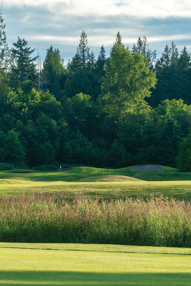 women's golf day at morningstar golf club