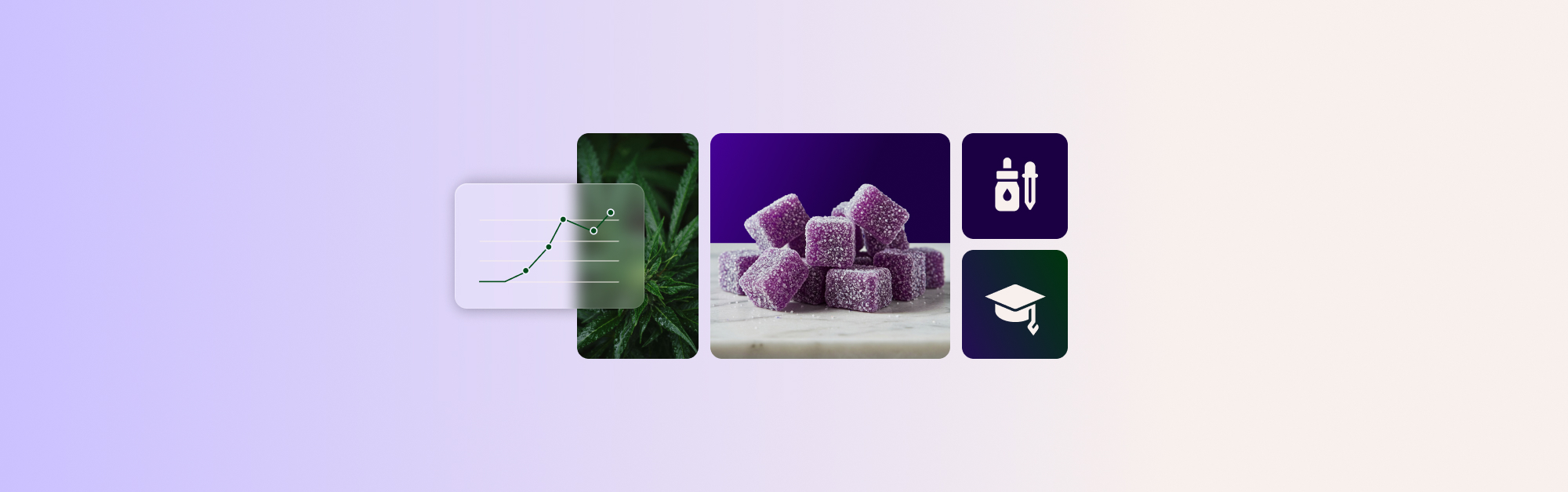 CBD Trends: 10 Vital Things to Know If You’re Selling Cannabidiol Products in 2025