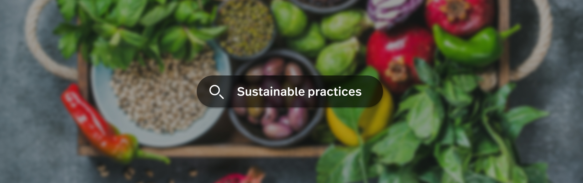 From Niche to Necessity: The Rise of Sustainable Practices in Hospitality